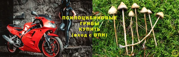 Альфа ПВП Армянск
