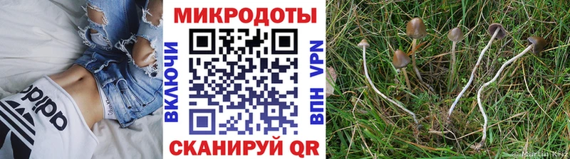 Галлюциногенные грибы Magic Shrooms Шарыпово